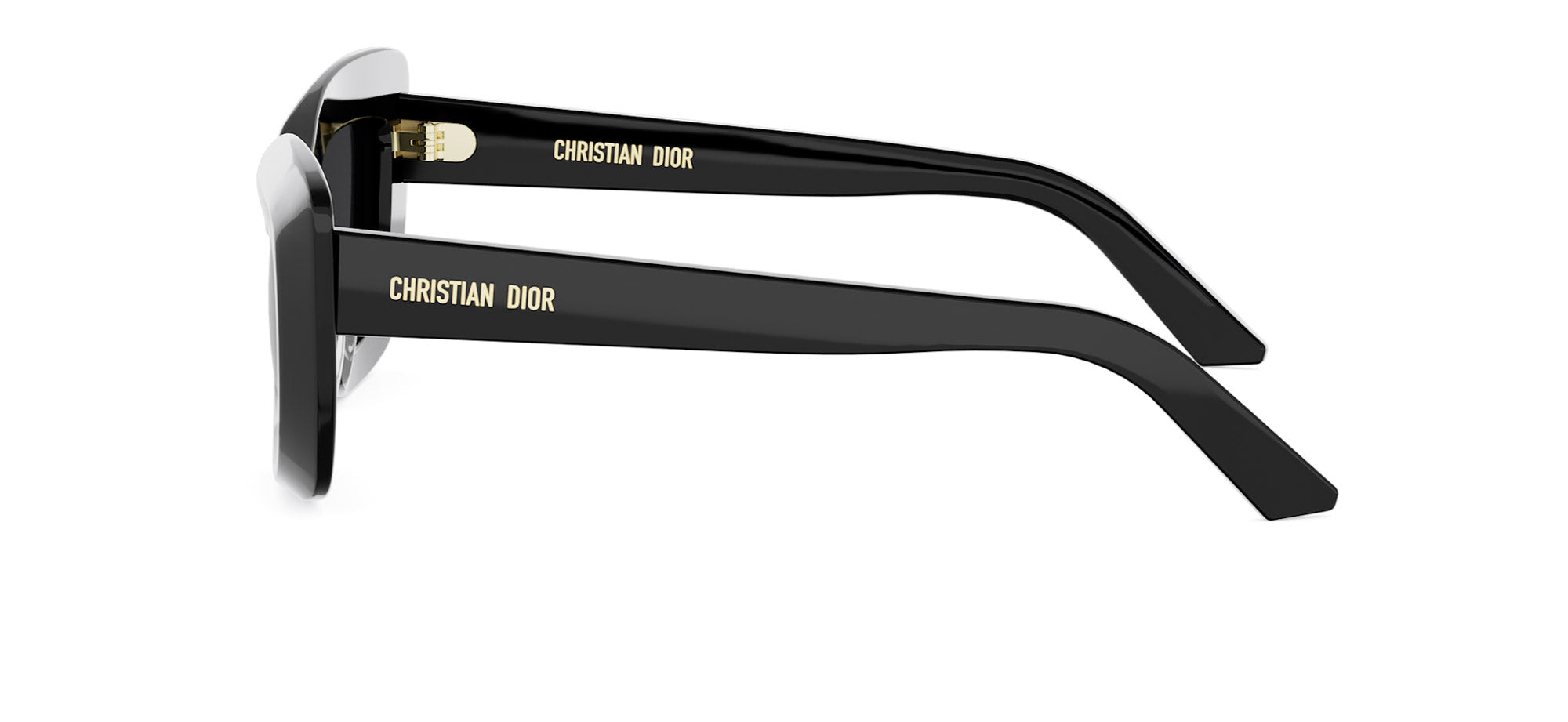 Dior Midnight B3I Oval