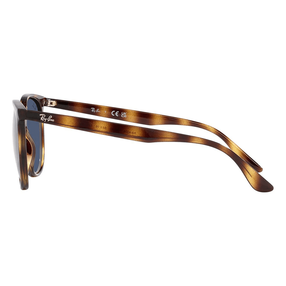 Ray-Ban RB4378 710/80 Sunglasses Cat-Eye