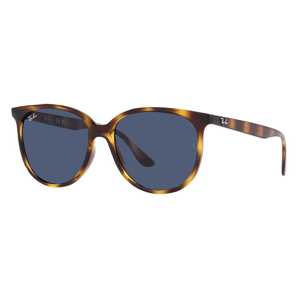 Ray-Ban RB4378 710/80 Sunglasses Cat-Eye